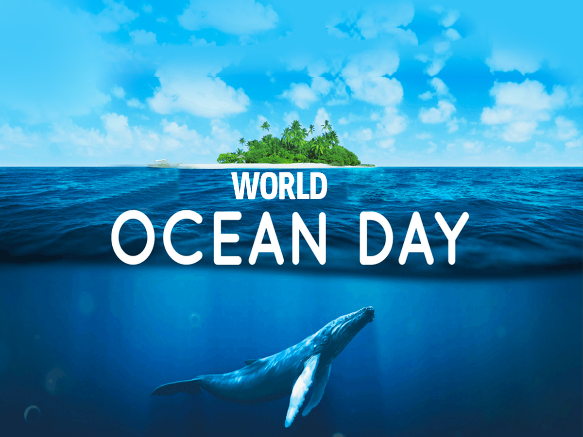 Celebrating World Ocean Day Ketchum UK